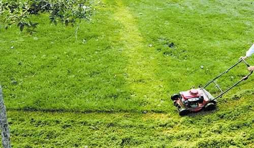 昆山綠化養護之草坪修剪注意事項